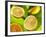 Citrus Fruits on Banana Leaves-Christophe Madamour-Framed Photographic Print