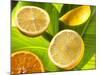 Citrus Fruits on Banana Leaves-Christophe Madamour-Mounted Photographic Print