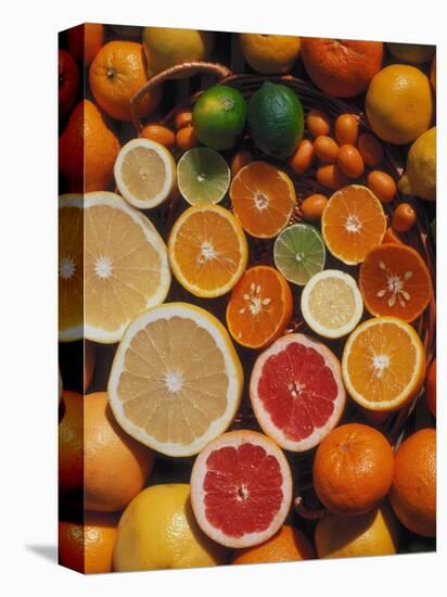 Citrus Fruits, Orange, Grapefruit, Lemon, Sliced in Half Showing Different Colours, Europe-Reinhard-Stretched Canvas