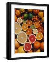 Citrus Fruits, Orange, Grapefruit, Lemon, Sliced in Half Showing Different Colours, Europe-Reinhard-Framed Photographic Print