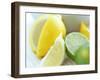 Citrus Fruits-David Munns-Framed Photographic Print