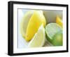 Citrus Fruits-David Munns-Framed Photographic Print