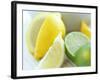 Citrus Fruits-David Munns-Framed Photographic Print