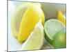 Citrus Fruits-David Munns-Mounted Photographic Print