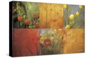 Citrus Garden-Don Li-Leger-Stretched Canvas