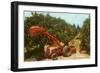 Citrus Harvest in Florida-null-Framed Art Print