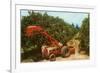 Citrus Harvest in Florida-null-Framed Art Print