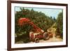 Citrus Harvest in Florida-null-Framed Art Print