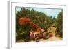 Citrus Harvest in Florida-null-Framed Art Print