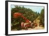 Citrus Harvest in Florida-null-Framed Art Print