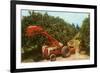 Citrus Harvest in Florida-null-Framed Premium Giclee Print