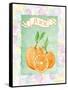 Citrus Orchard 3-Patricia Haberler-Framed Stretched Canvas