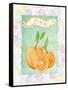 Citrus Orchard 3-Patricia Haberler-Framed Stretched Canvas