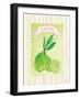 Citrus Orchard 4-Patricia Haberler-Framed Art Print