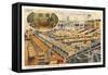 Citrus Packing House, Florida-null-Framed Stretched Canvas