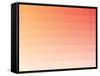 Citrus Rectangle Spectrum-Kindred Sol Collective-Framed Stretched Canvas