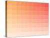 Citrus Rectangle Spectrum-Kindred Sol Collective-Stretched Canvas
