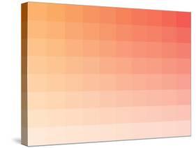 Citrus Rectangle Spectrum-Kindred Sol Collective-Stretched Canvas