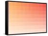 Citrus Rectangle Spectrum-Kindred Sol Collective-Framed Stretched Canvas