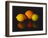 Citrus Reflections-Monika Burkhart-Framed Photographic Print