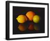 Citrus Reflections-Monika Burkhart-Framed Photographic Print