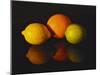 Citrus Reflections-Monika Burkhart-Mounted Photographic Print