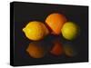 Citrus Reflections-Monika Burkhart-Stretched Canvas