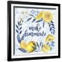 Citrus Sayings I-Grace Popp-Framed Art Print