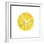 Citrus Slice-Kristine Hegre-Framed Giclee Print