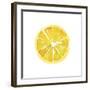 Citrus Slice-Kristine Hegre-Framed Giclee Print