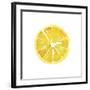 Citrus Slice-Kristine Hegre-Framed Giclee Print