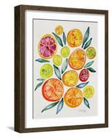 Citrus Slices-Cat Coquillette-Framed Giclee Print