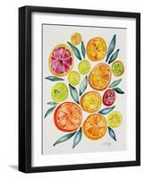 Citrus Slices-Cat Coquillette-Framed Giclee Print