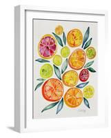 Citrus Slices-Cat Coquillette-Framed Giclee Print