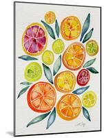 Citrus Slices-Cat Coquillette-Mounted Giclee Print