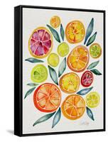 Citrus Slices-Cat Coquillette-Framed Stretched Canvas