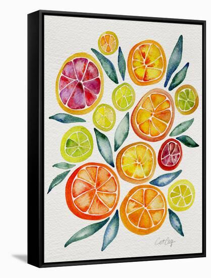 Citrus Slices-Cat Coquillette-Framed Stretched Canvas