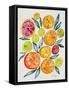 Citrus Slices-Cat Coquillette-Framed Stretched Canvas