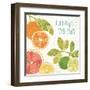 Citrus Splash IV-Veronique Charron-Framed Art Print