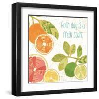 Citrus Splash IV-Veronique Charron-Framed Art Print