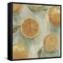 Citrus Study in Oil II-Emma Scarvey-Framed Stretched Canvas