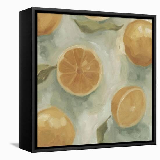 Citrus Study in Oil II-Emma Scarvey-Framed Stretched Canvas