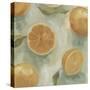 Citrus Study in Oil II-Emma Scarvey-Stretched Canvas