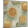 Citrus Study in Oil II-Emma Scarvey-Mounted Art Print