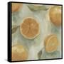 Citrus Study in Oil II-Emma Scarvey-Framed Stretched Canvas