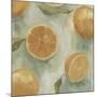 Citrus Study in Oil II-Emma Scarvey-Mounted Art Print