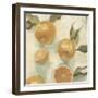 Citrus Study in Oil IV-Emma Scarvey-Framed Art Print