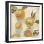 Citrus Study in Oil IV-Emma Scarvey-Framed Art Print