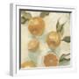 Citrus Study in Oil IV-Emma Scarvey-Framed Art Print