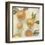 Citrus Study in Oil IV-Emma Scarvey-Framed Art Print